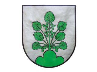 Stadtkapelle Haslach 